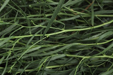 Photo of Fresh tarragon sprigs as background, closeup view