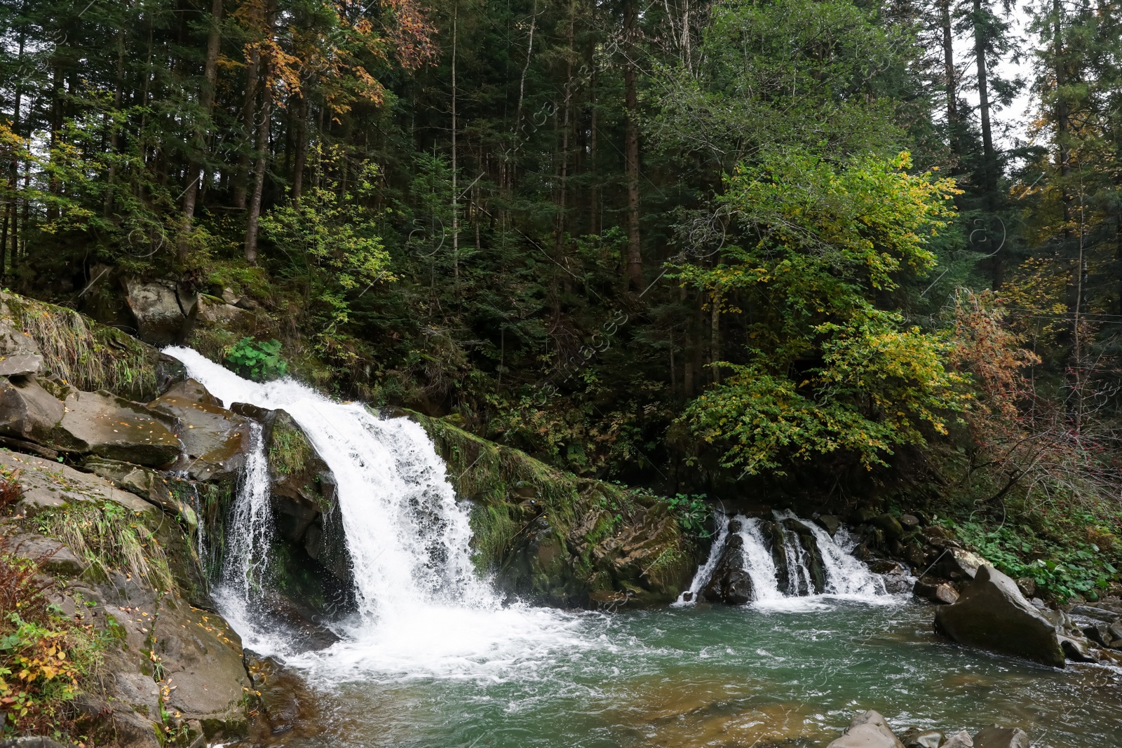 Photo of Picturesque view of beautiful stream flowing in forest