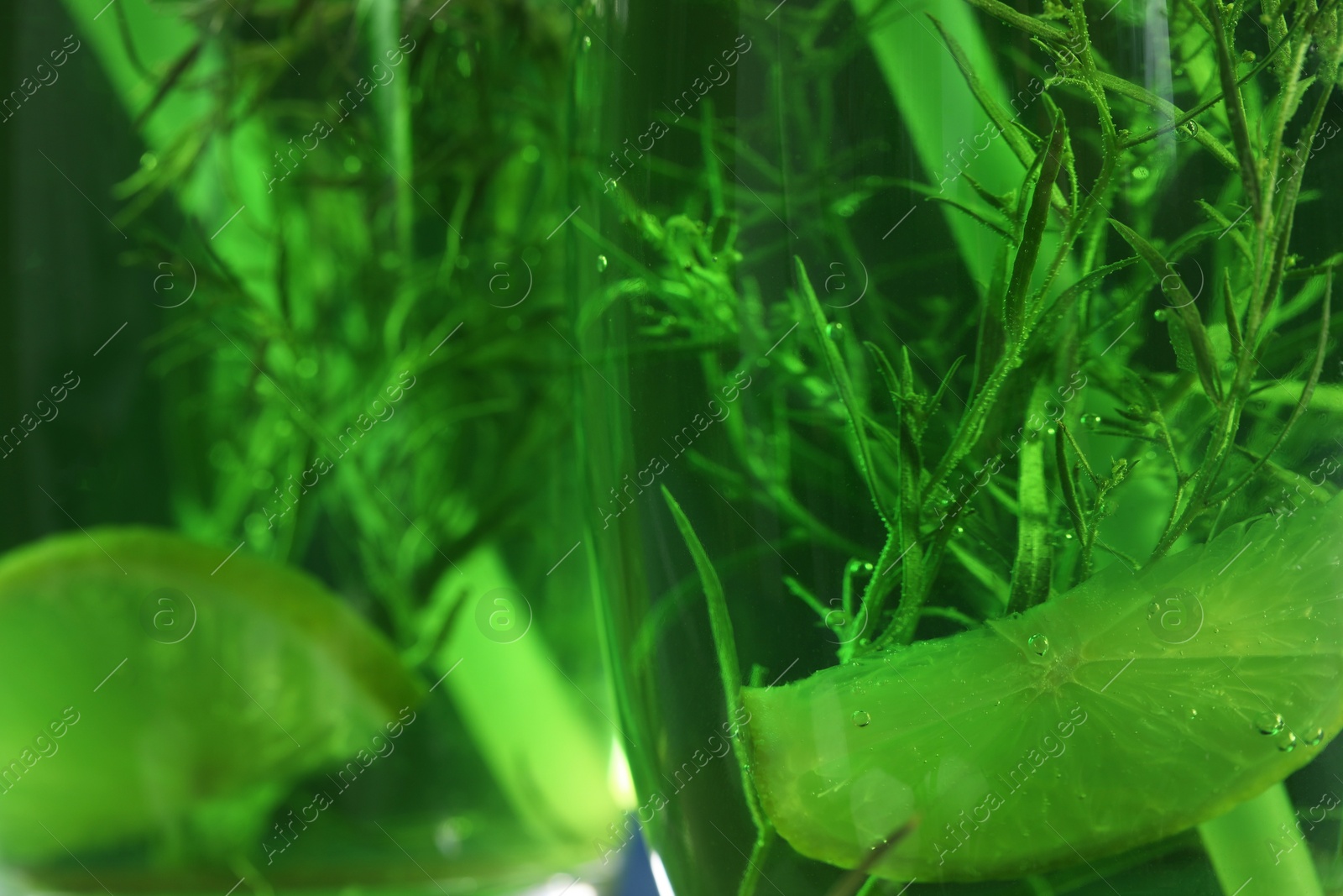 Photo of Glasses of homemade refreshing tarragon drink with lemon slices, closeup