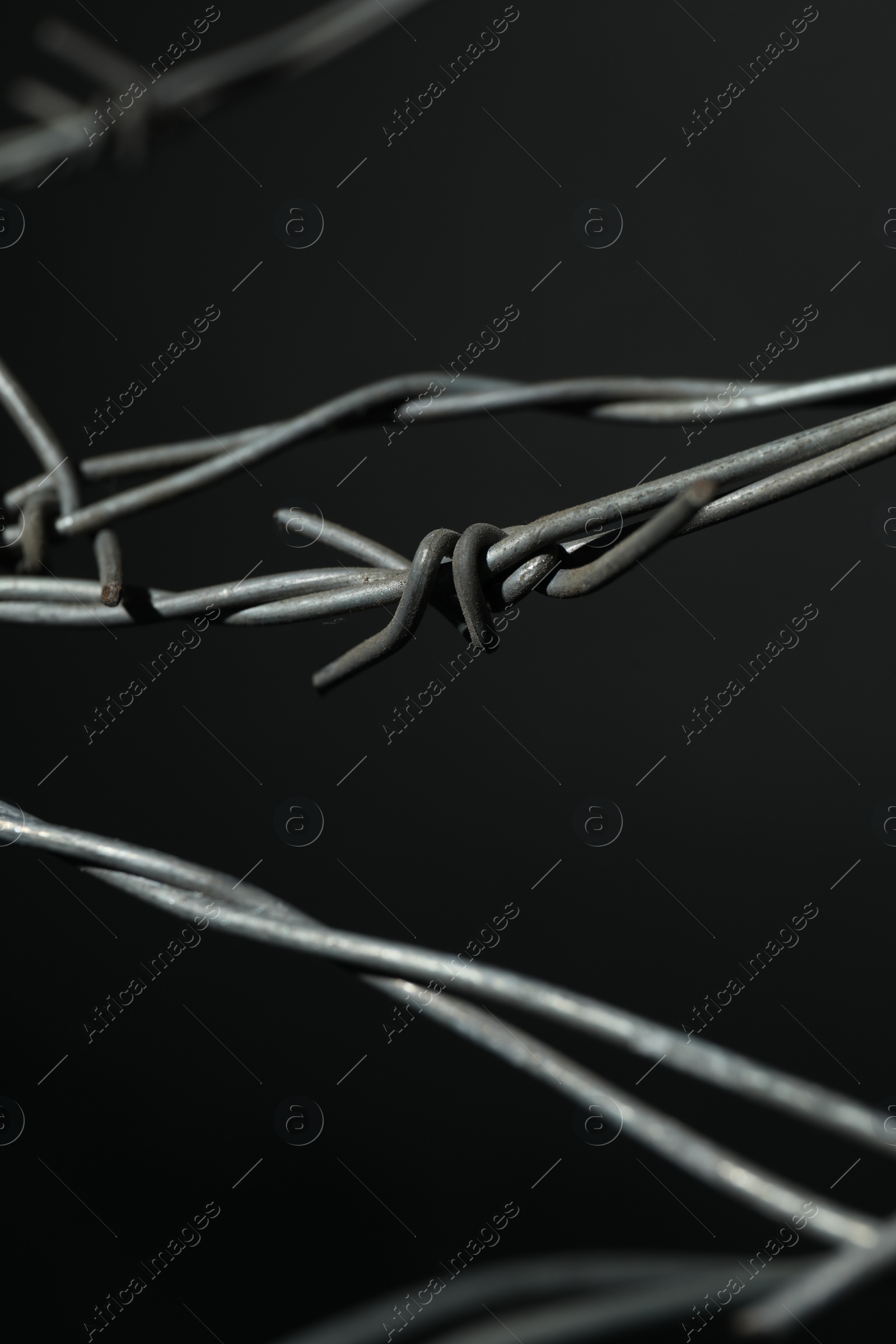 Photo of Metal barbed wire on dark grey background, closeup