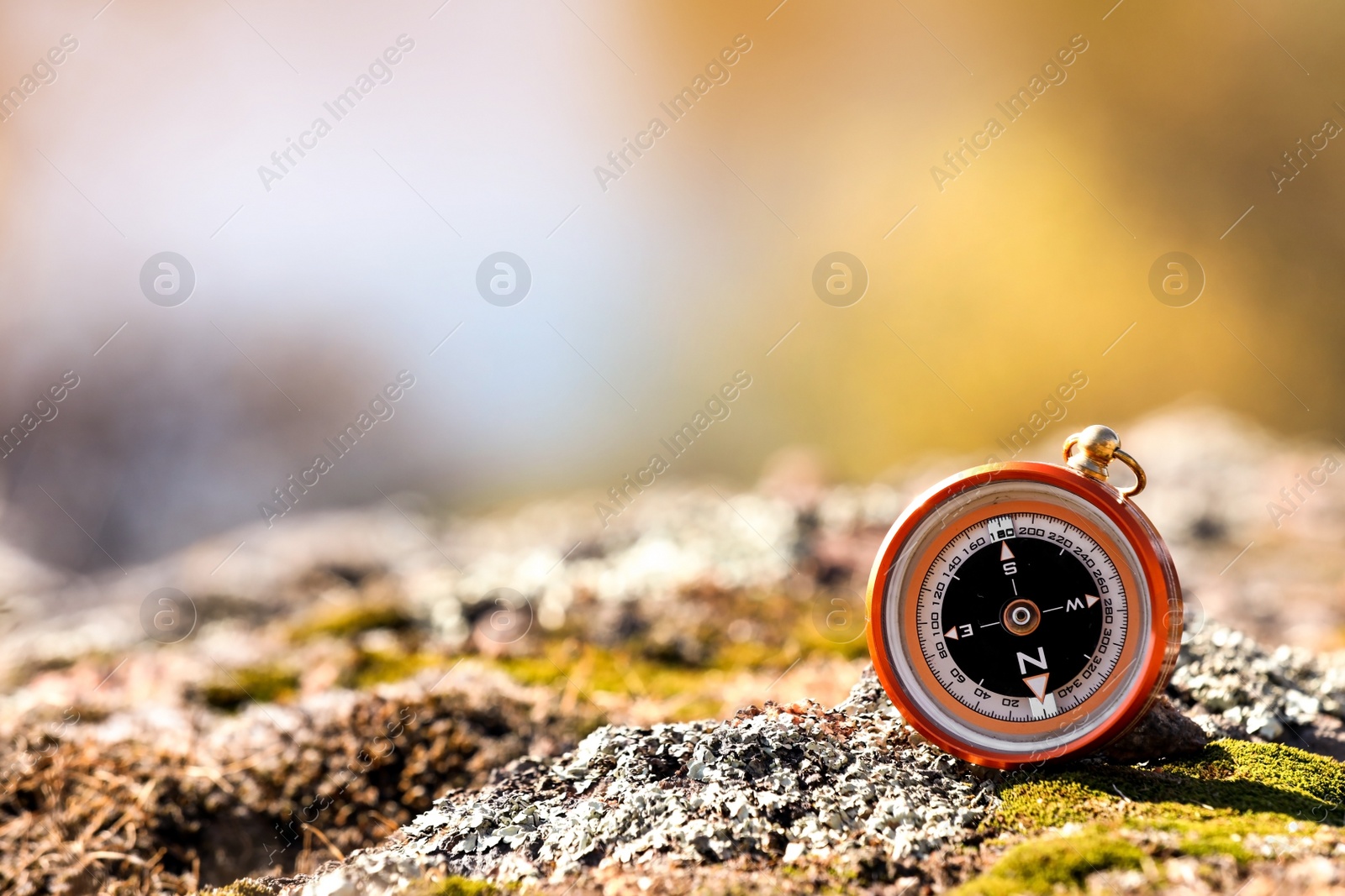 Photo of Compass on rock against blurred background, space for text. Camping equipment