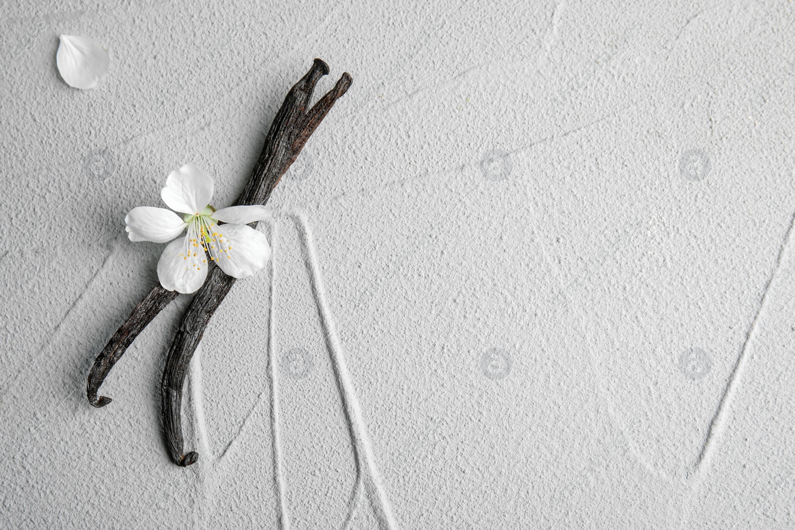 Photo of Flat lay composition with aromatic vanilla sticks and flower on light background, space for text