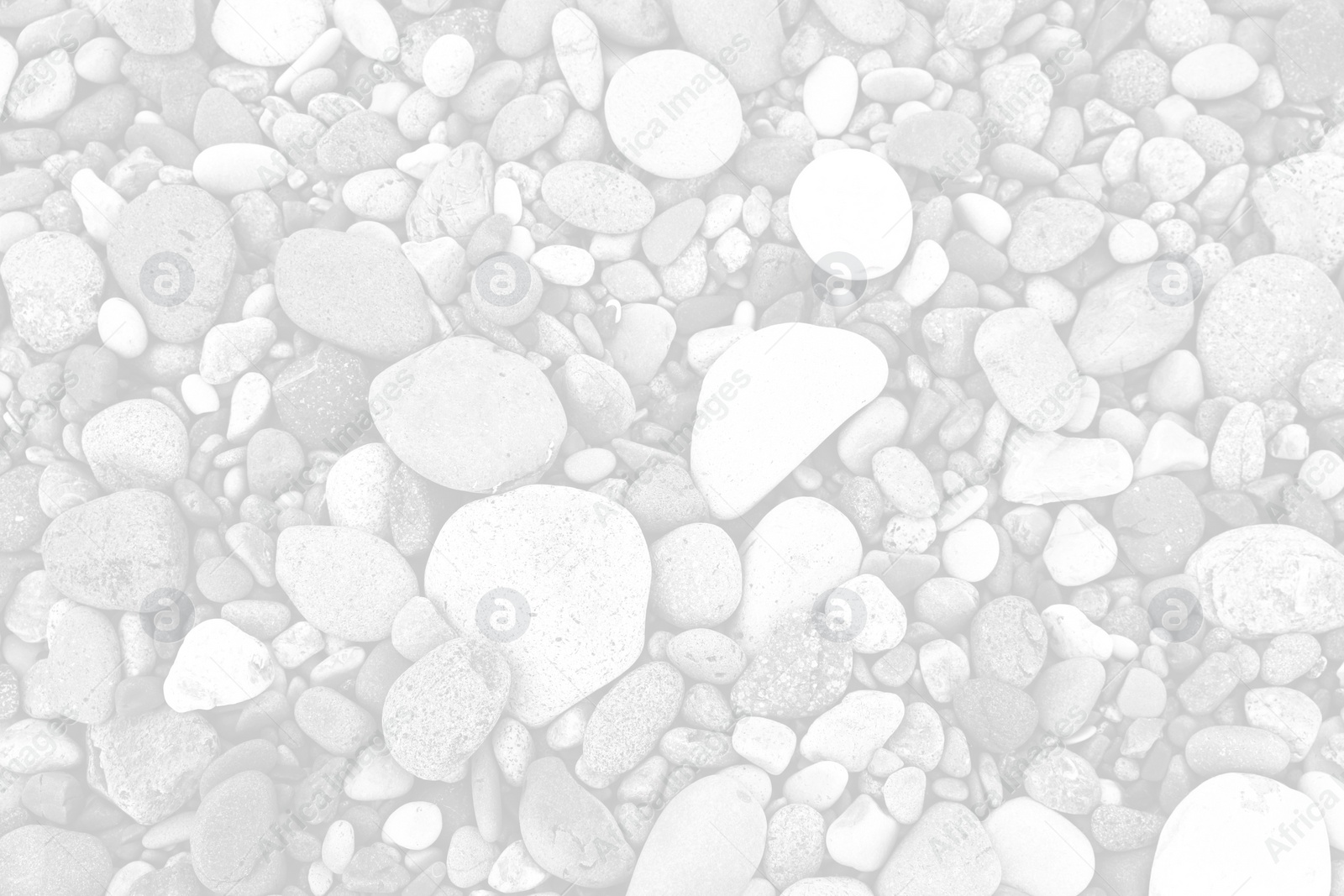 Image of Many different pebbles as background, top view. Black and white effect