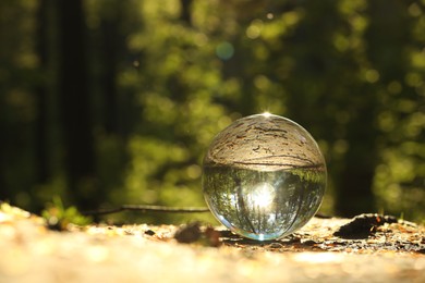 Photo of Beautiful forest with green trees, overturned reflection. Crystal ball on ground outdoors. Space for text