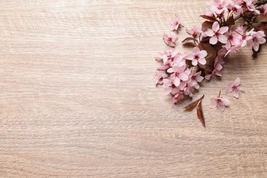 Photo of Beautiful sakura tree blossoms on wooden background, flat lay. Space for text