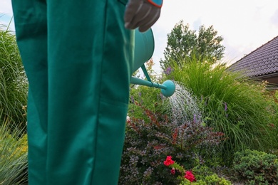 Photo of Worker watering plant at backyard, closeup. Home gardening