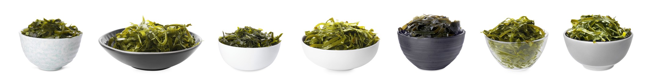 Image of Set with fresh laminaria (kelp) seaweed on white background. Banner design