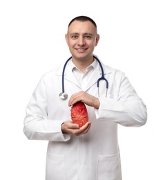 Doctor with stethoscope and model of heart on white background. Cardiology concept