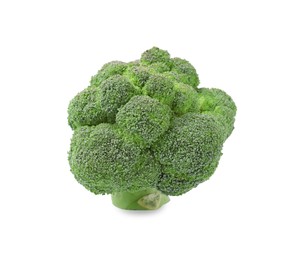 Photo of Fresh raw green broccoli isolated on white