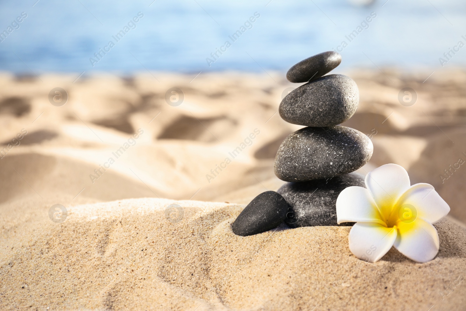 Photo of Stack of dark stones and beautiful flower on sandy beach near sea, space for text. Zen concept