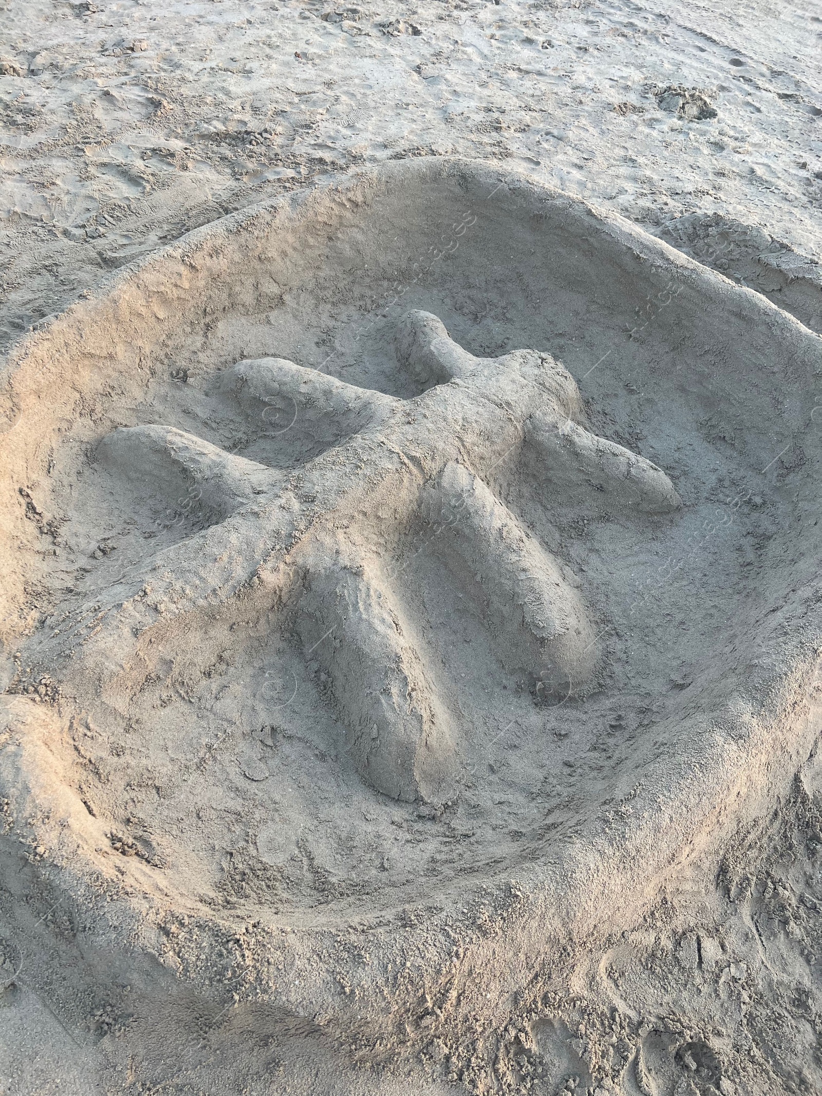 Photo of Palm tree made of sand on beach