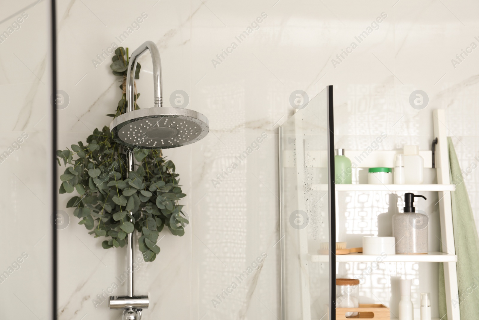 Photo of Branches with green eucalyptus leaves in shower