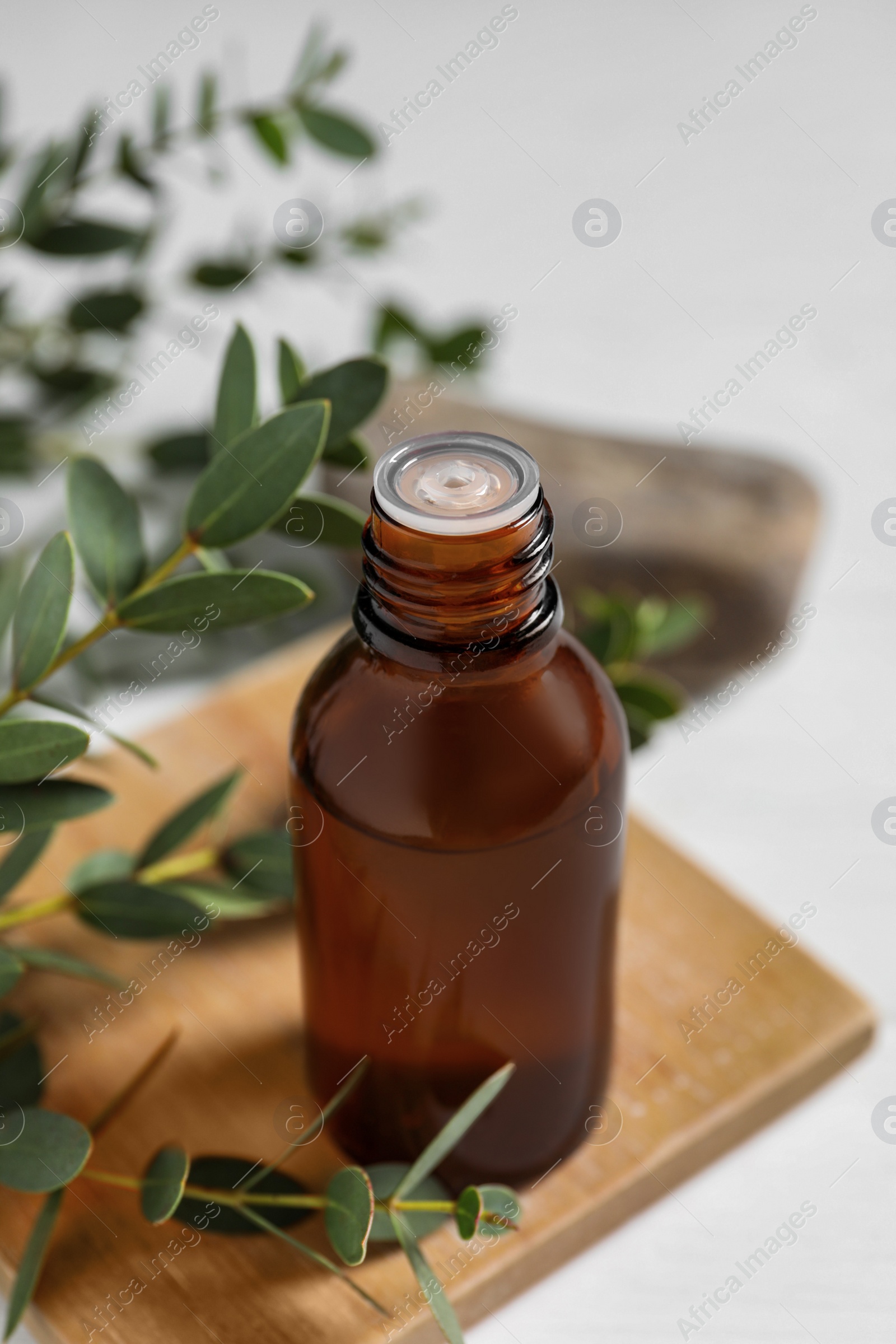 Photo of Bottle of eucalyptus essential oil and plant branches on white table