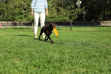 Woman and her dog playing with flying disk in park