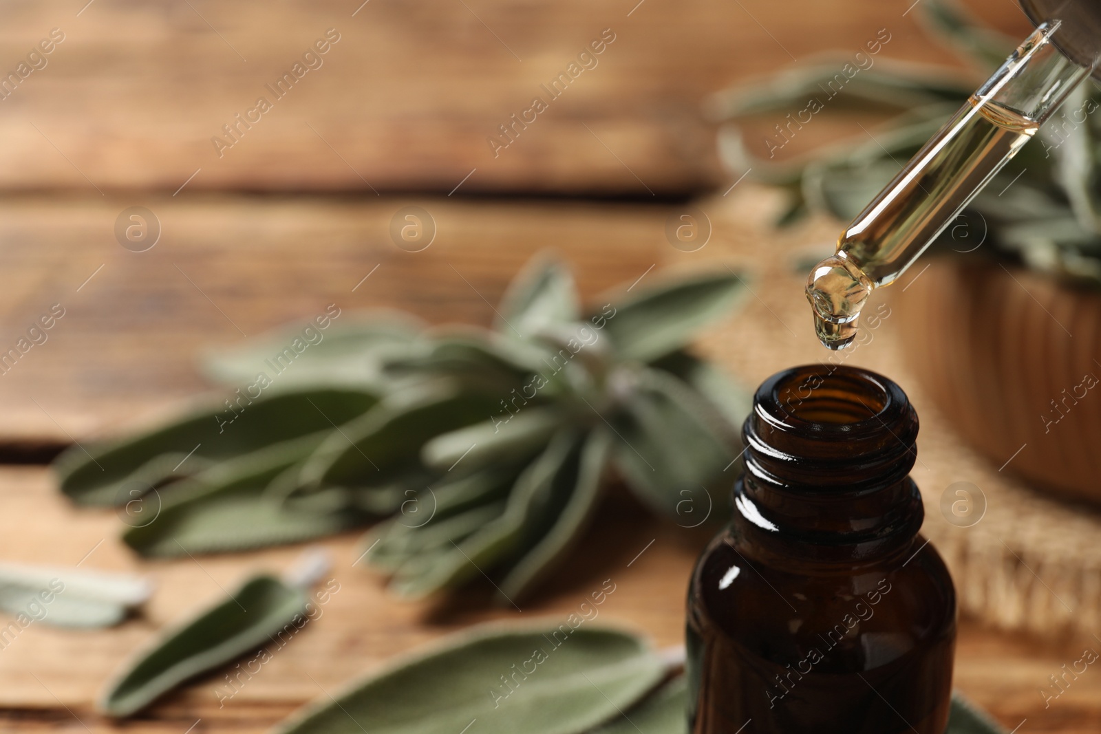 Photo of Dropping essential sage oil into bottle on blurred background, closeup. Space for text