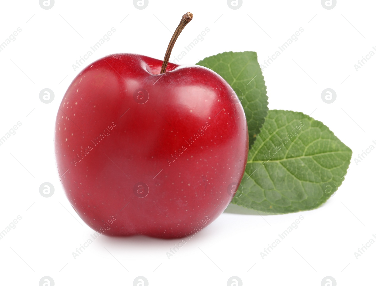 Photo of Delicious ripe cherry plum with leaves on white background