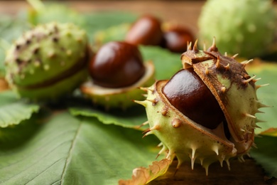 Photo of Horse chestnut in husk and leaves on wooden table, closeup