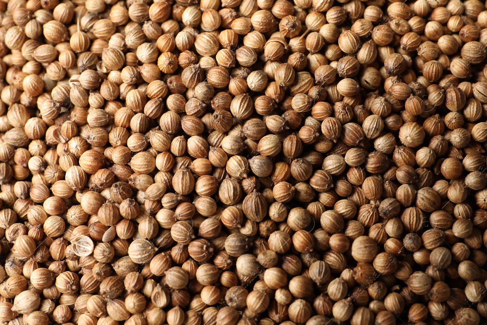 Photo of Dried coriander seeds as background, top view