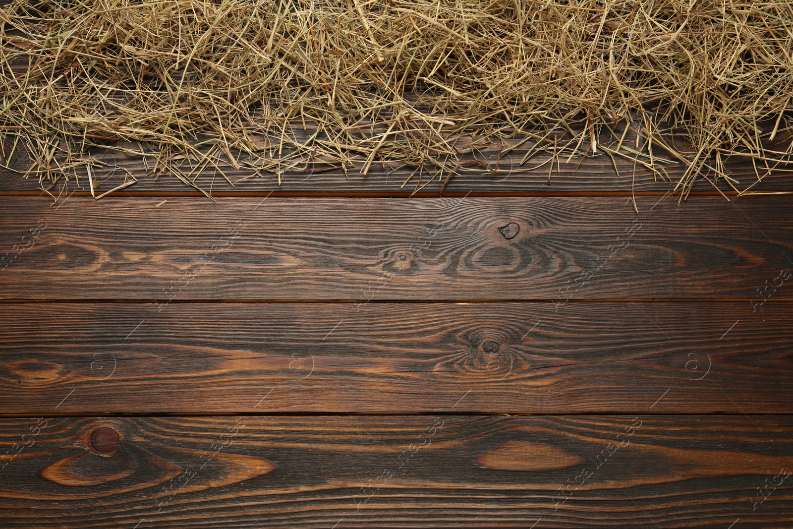 Photo of Dried hay on wooden background, flat lay. Space for text