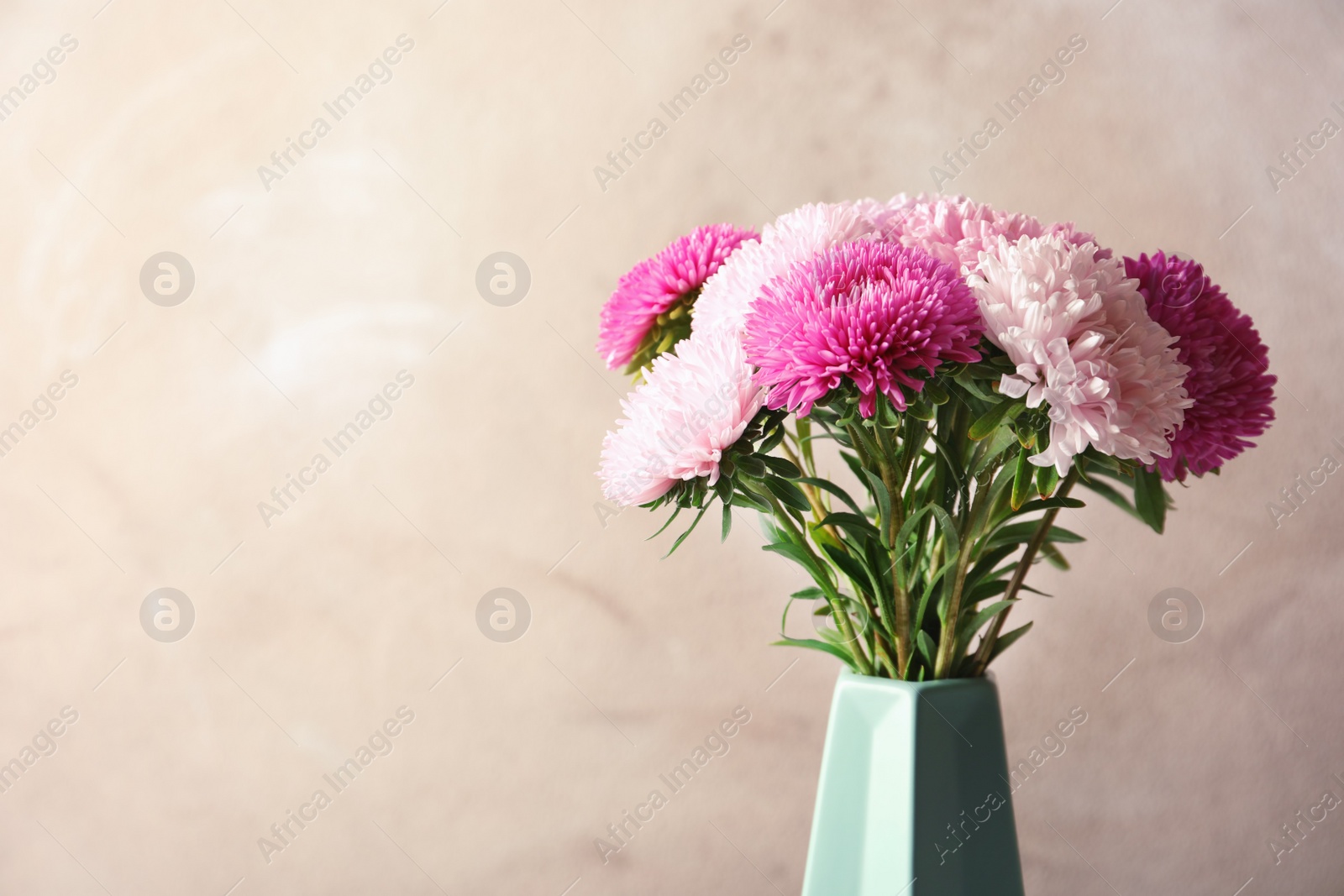 Photo of Beautiful aster flower bouquet in vase against color background. Space for text