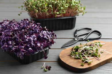 Photo of Fresh radish microgreens in plastic containers near scissors on grey wooden table