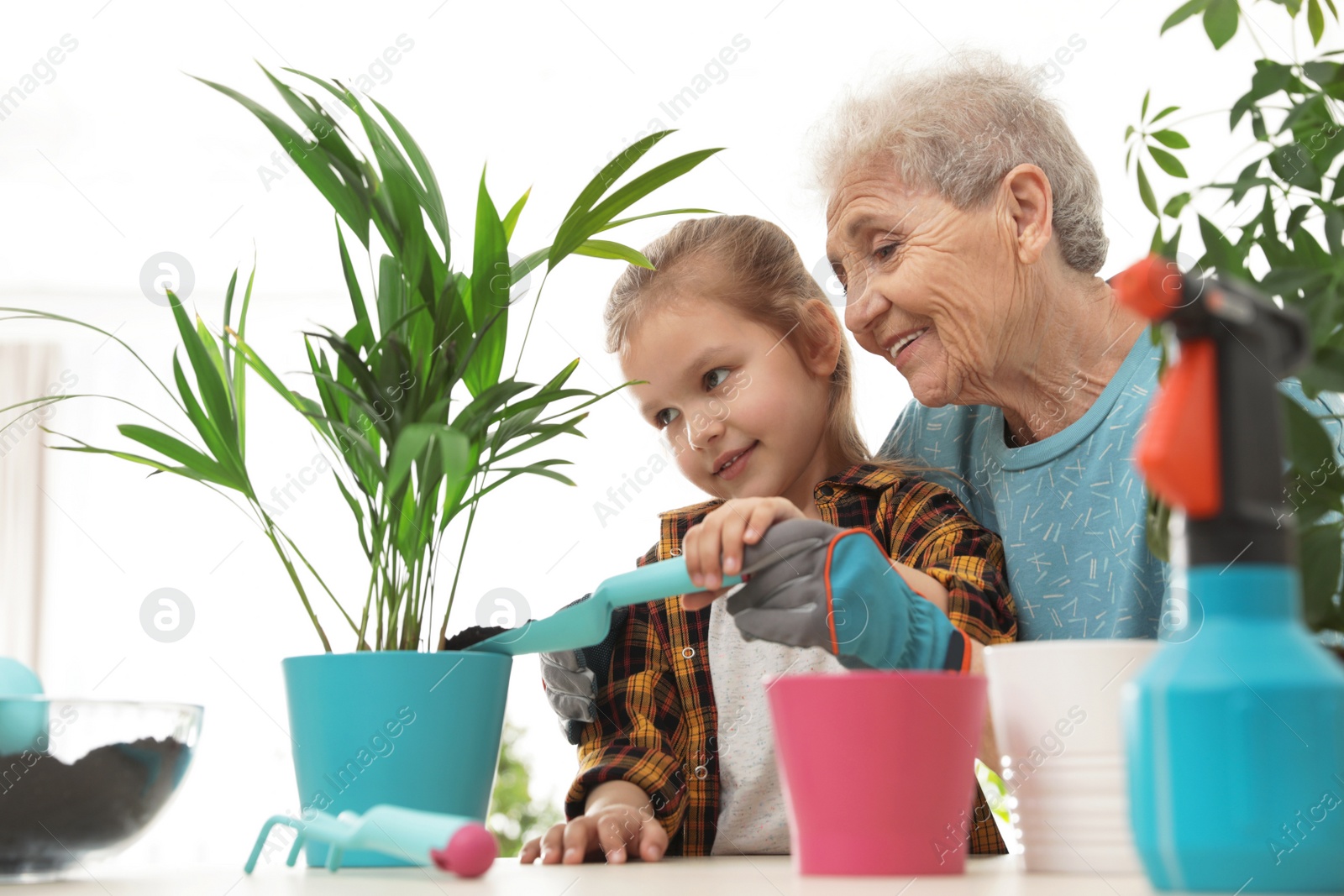 Photo of Little girl and her grandmother taking care of plants indoors