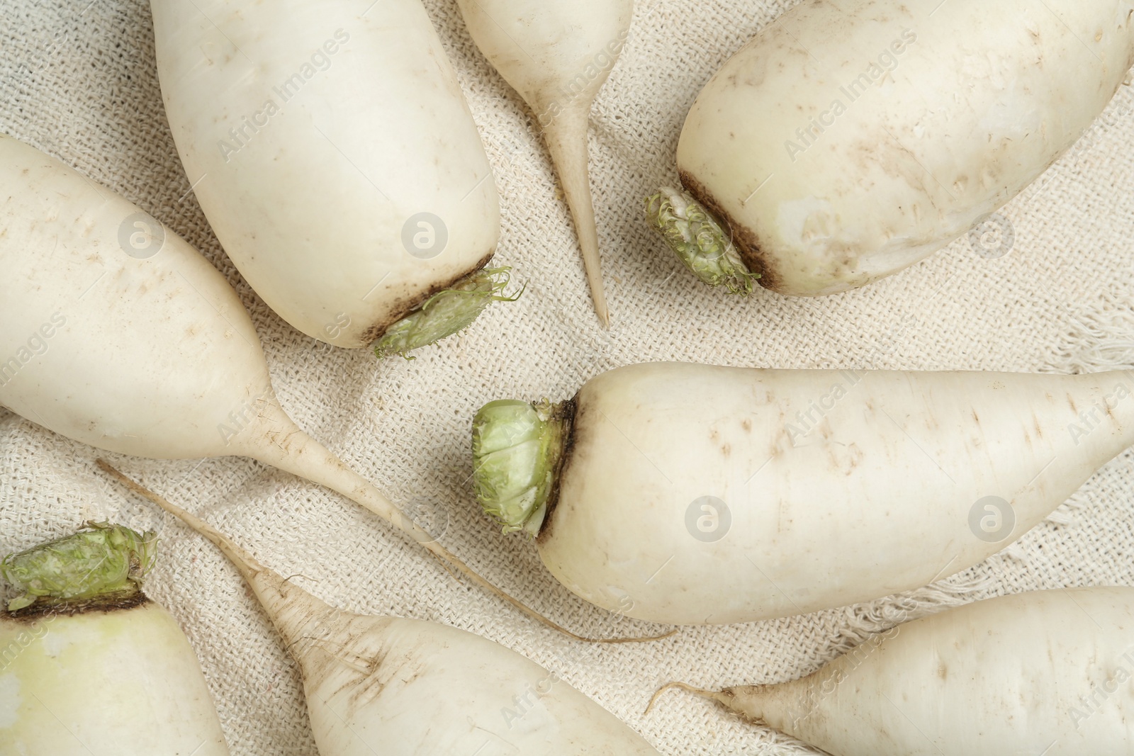 Photo of Ripe white turnips on fabric, flat lay