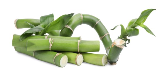 Photo of Pieces of beautiful green bamboo stems on white background