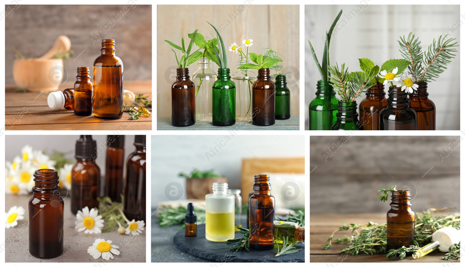 Image of Collage of different photos with essential oils and plants. Banner design