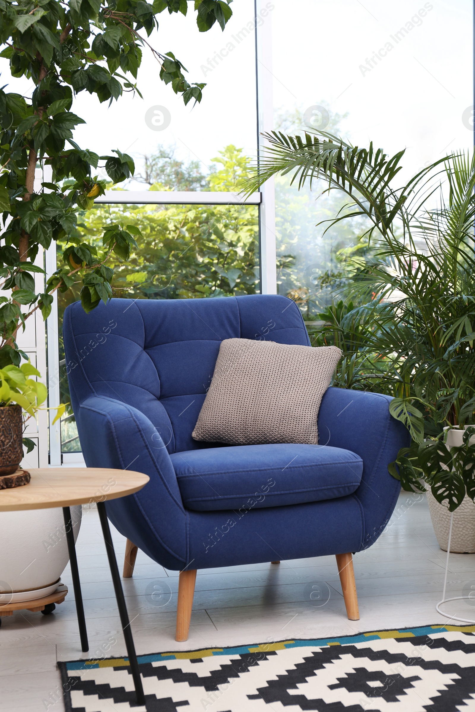 Photo of Comfortable armchair and beautiful houseplants in room. Lounge area interior