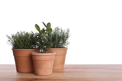 Photo of Pots with thyme, bay and rosemary on wooden table against white background