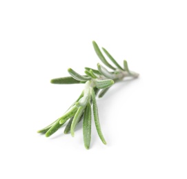 Photo of Fresh green rosemary twig on white background