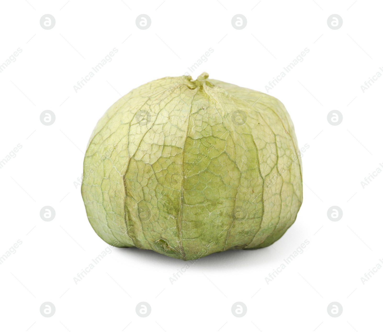 Photo of Fresh green tomatillo with husk isolated on white