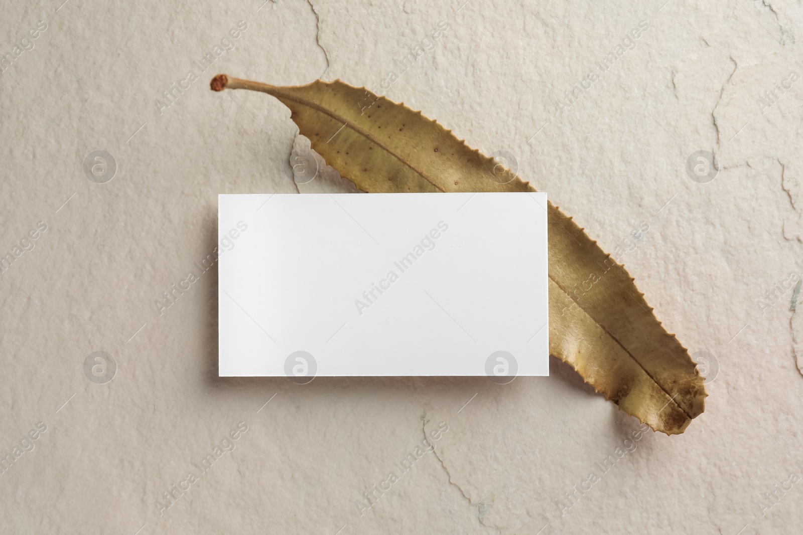 Photo of Empty business card and leaf on light textured background, top view. Mockup for design