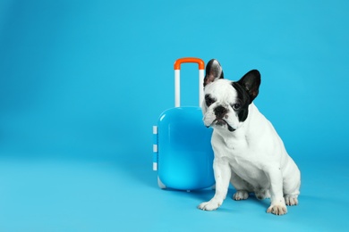 Photo of French bulldog with little suitcase on blue background. Space for text