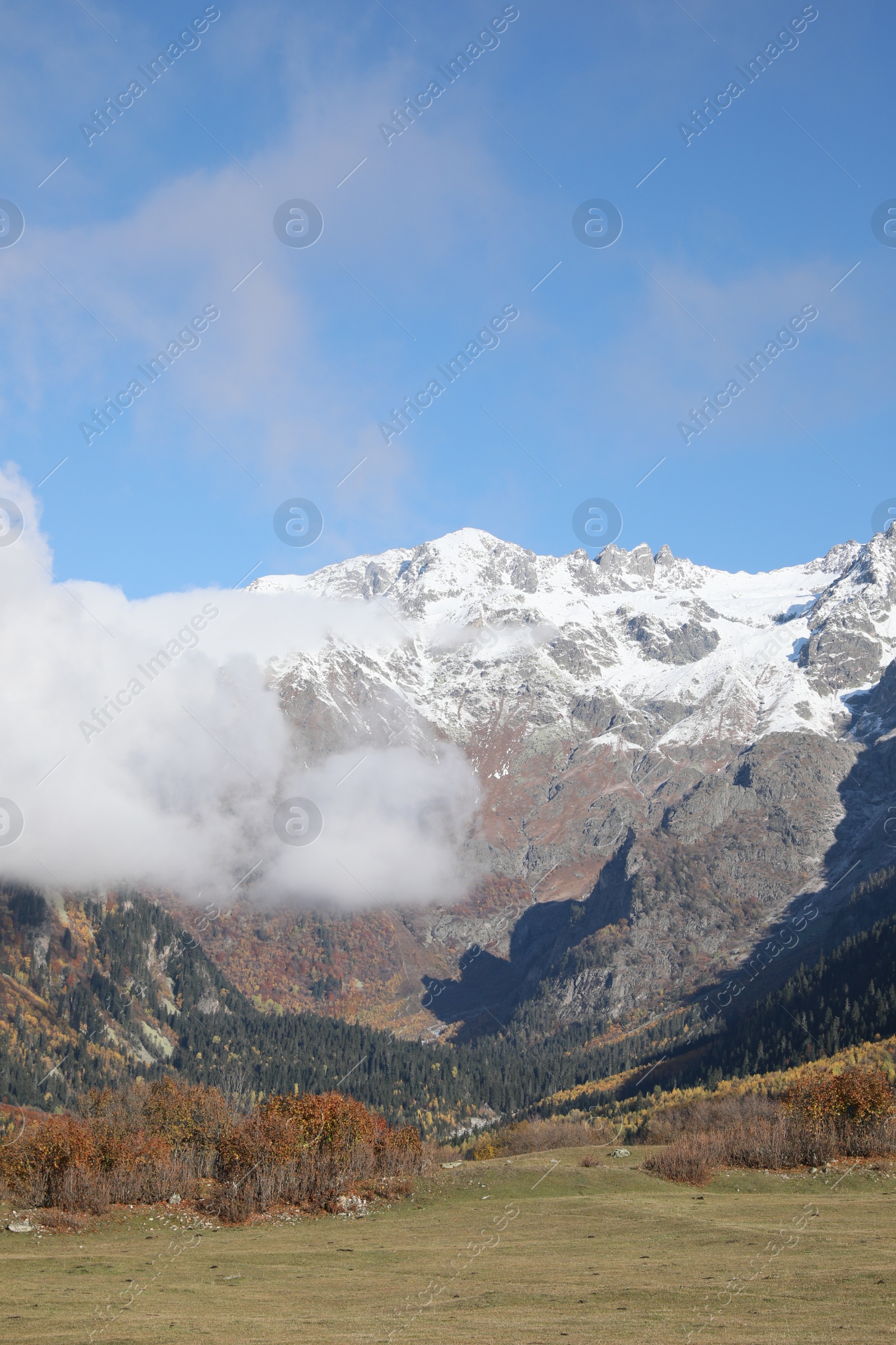 Photo of Picturesque view of mountains with forest covered by mist and meadow on autumn day