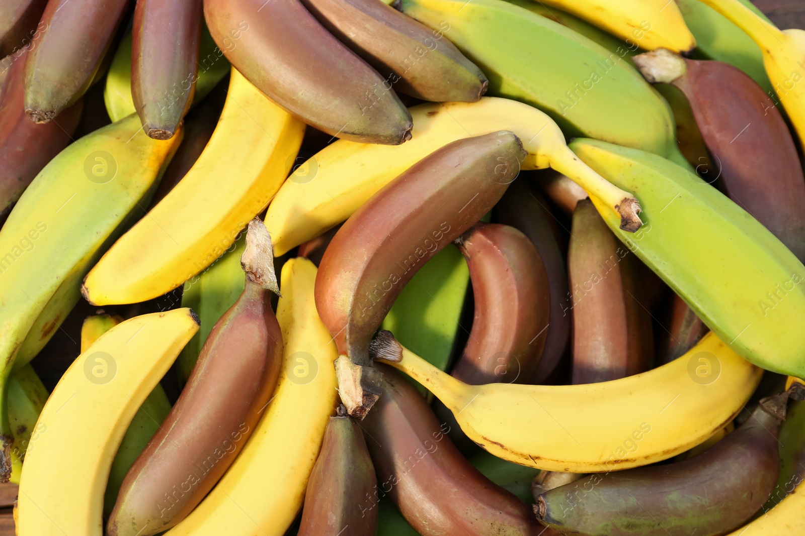 Photo of Different types of bananas as background, top view