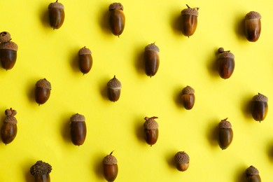 Many acorns on yellow background, flat lay