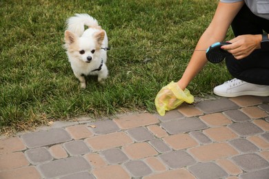 Photo of Woman picking up her dog's poop with waste bag in park, closeup