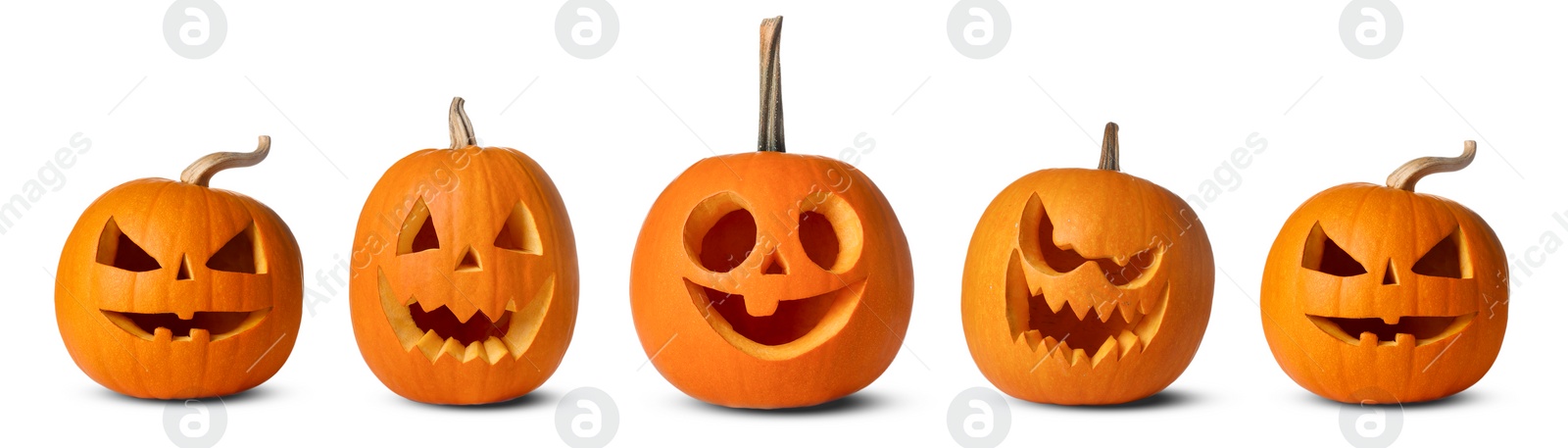 Image of Many pumpkins with carved spooky faces isolated on white, collection. Decoration for Halloween