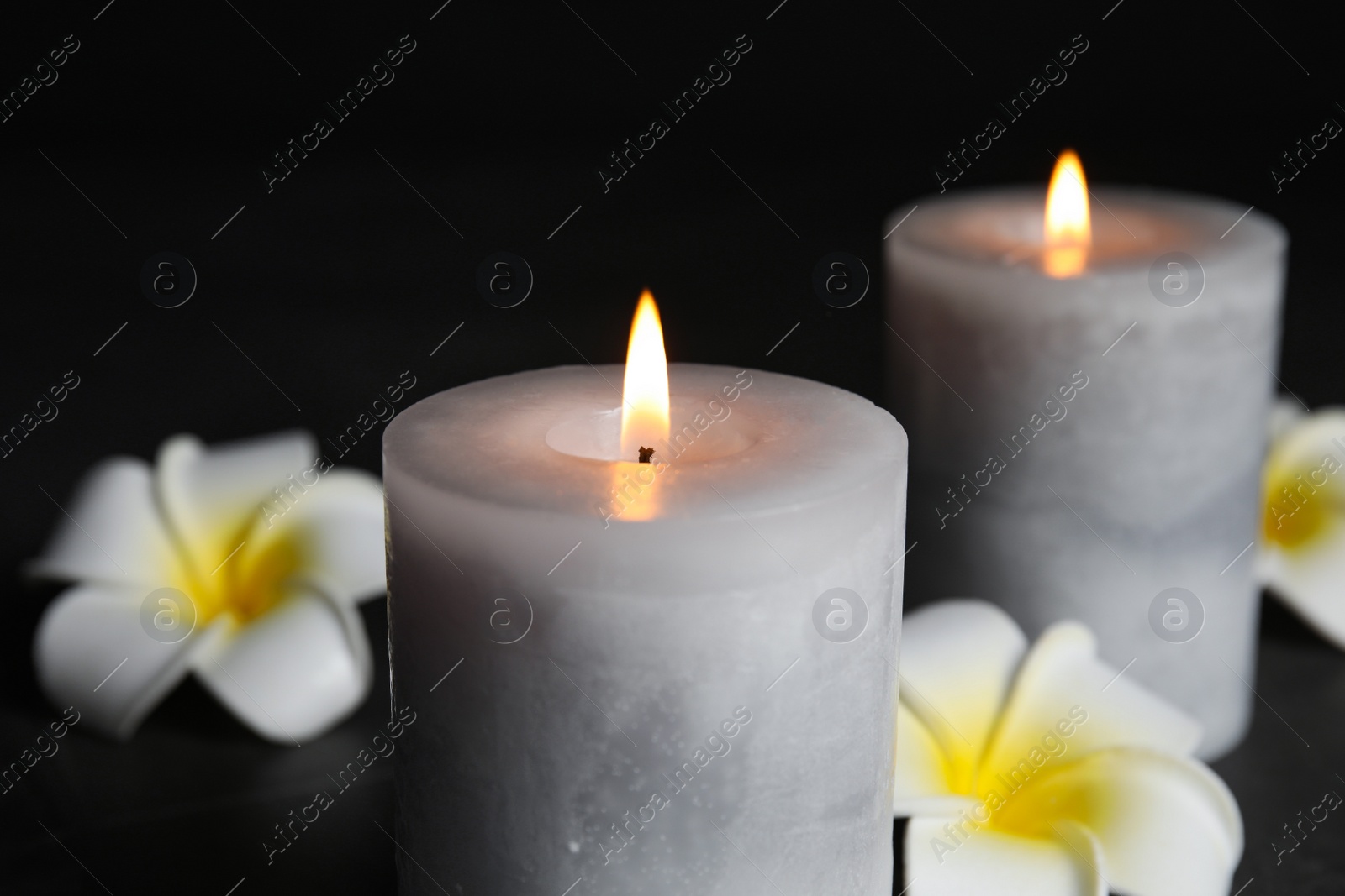 Photo of Burning candles and plumeria flowers on black background, closeup