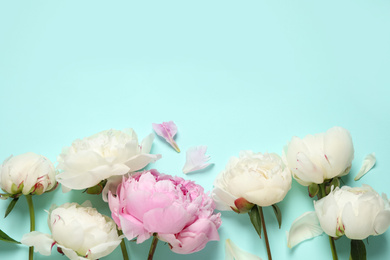 Photo of Beautiful peonies on light blue background, flat lay. Space for text