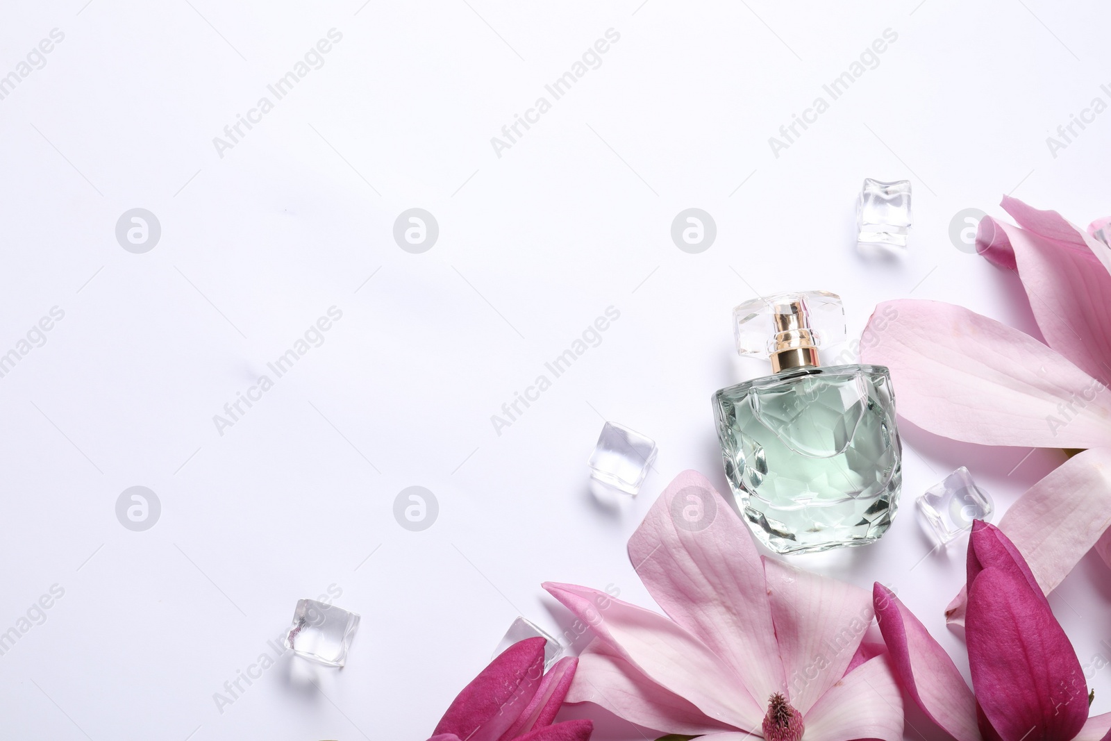 Photo of Beautiful pink magnolia flowers, bottle of perfume and ice cubes on white background, flat lay. Space for text