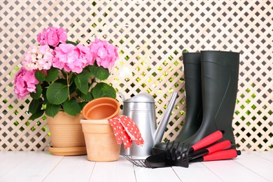 Photo of Beautiful blooming plant, gardening tools and accessories on white wooden table