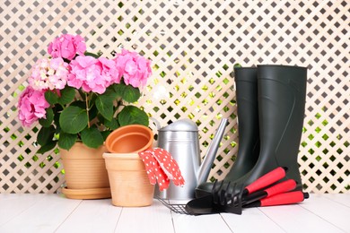 Beautiful blooming plant, gardening tools and accessories on white wooden table