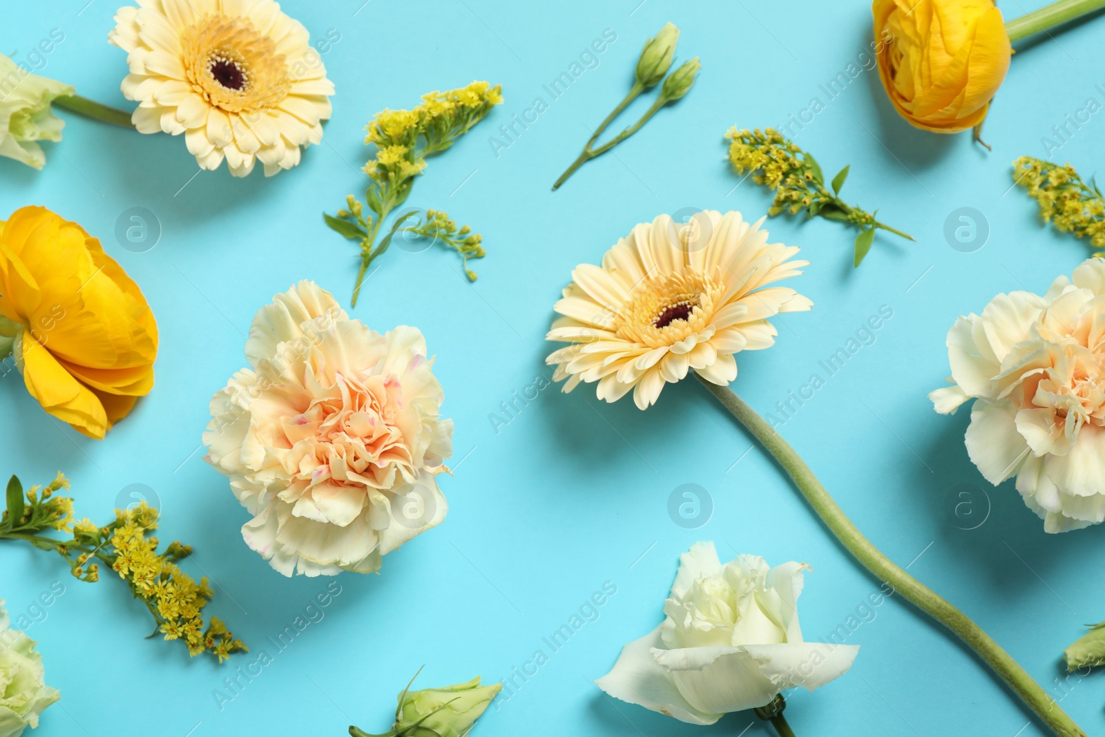 Photo of Floral composition with beautiful flowers on light blue background, flat lay