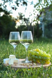 Two glasses of delicious white wine, grapes, cheese and nuts on green grass outdoors