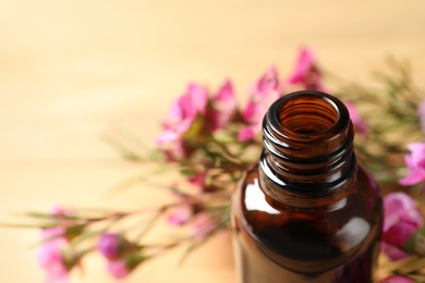 Photo of Bottle of natural tea tree oil and plant on table, closeup. Space for text