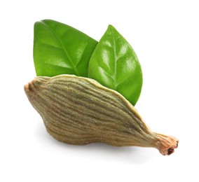 Image of Dry cardamom pod and green leaves on white background