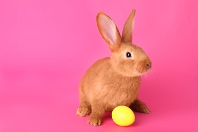 Photo of Cute bunny and Easter egg on pink background, space for text